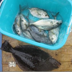 海正丸 釣果