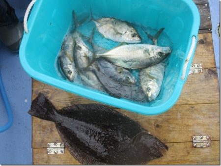 海正丸 釣果