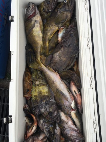 第八平成丸 釣果