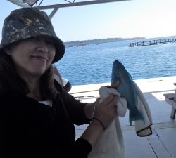 本部釣りイカダ 釣果