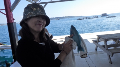 本部釣りイカダ 釣果