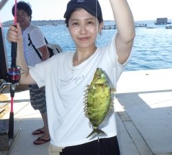 本部釣りイカダ 釣果