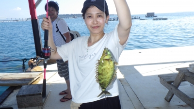 本部釣りイカダ 釣果