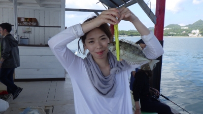 本部釣りイカダ 釣果