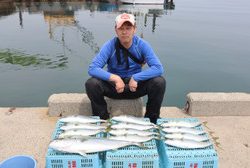 魚英 釣果