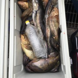 第八平成丸 釣果