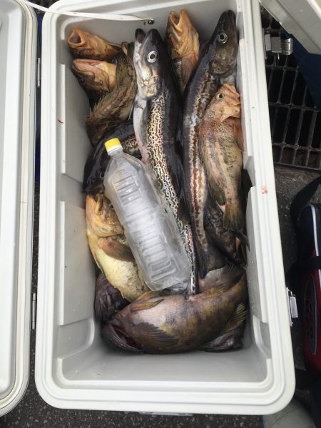 第八平成丸 釣果