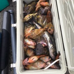 第八平成丸 釣果