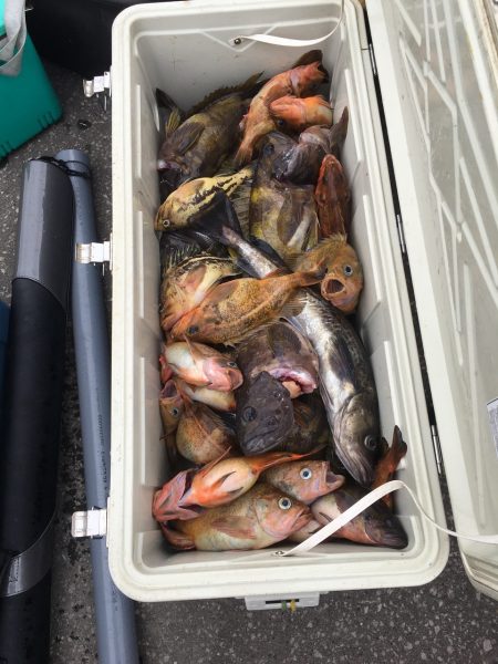 第八平成丸 釣果