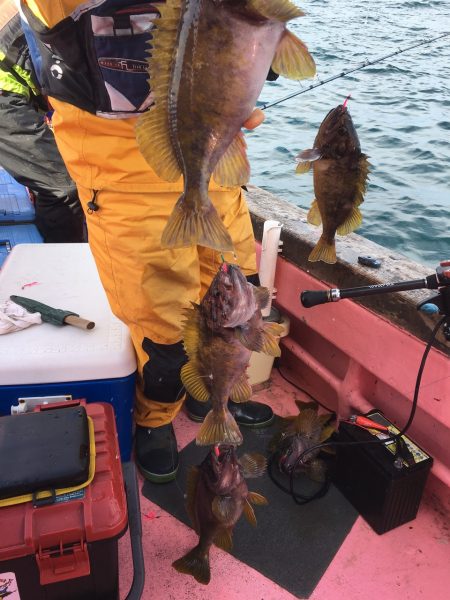 第八平成丸 釣果