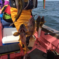 第八平成丸 釣果