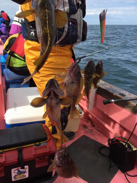 第八平成丸 釣果