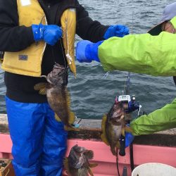 第八平成丸 釣果