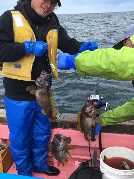 第八平成丸 釣果