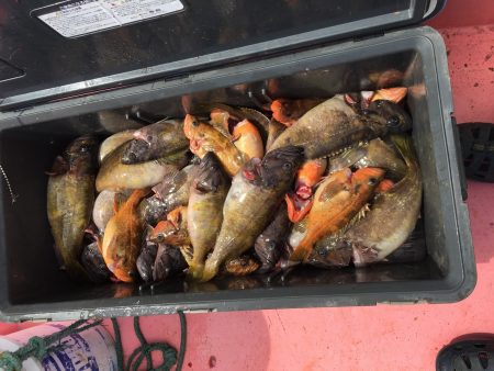 第八平成丸 釣果