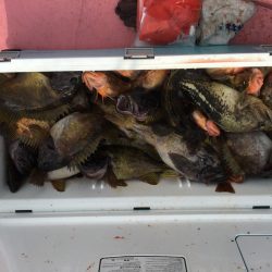 第八平成丸 釣果