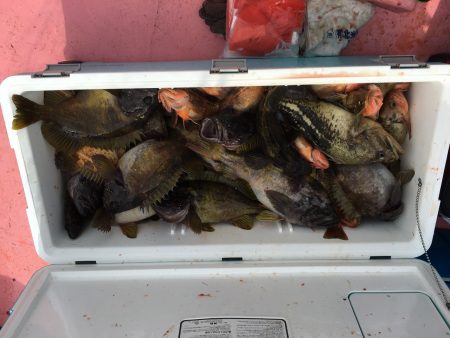 第八平成丸 釣果