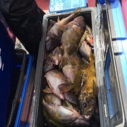 第八平成丸 釣果