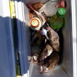 内浜丸 釣果