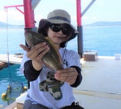 本部釣りイカダ 釣果