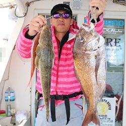 松本釣船２ 釣果