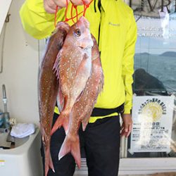 松本釣船２ 釣果