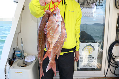 松本釣船２ 釣果