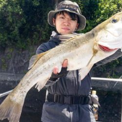 オーシャンマスター 釣果