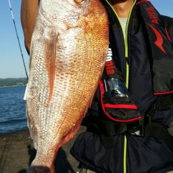 オーフリー 釣果