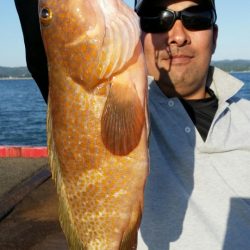 オーフリー 釣果