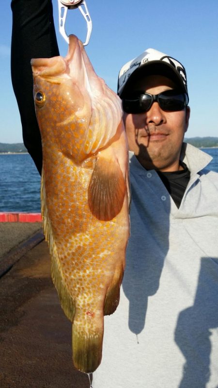 オーフリー 釣果