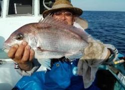 長栄丸(静岡) 釣果