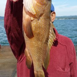 オーフリー 釣果