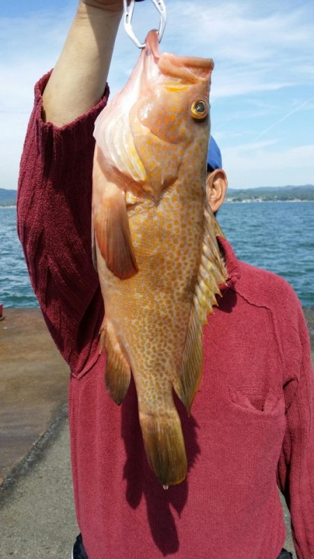 オーフリー 釣果