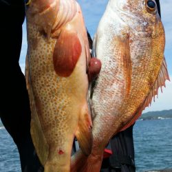 オーフリー 釣果