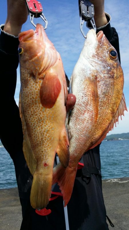 オーフリー 釣果