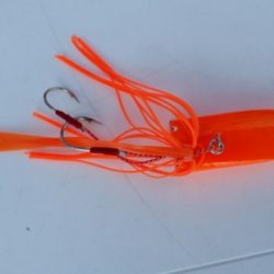 オーフリー 釣果