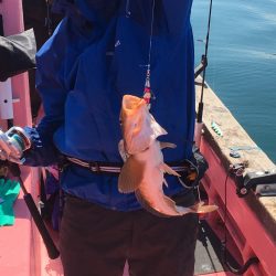 第八平成丸 釣果