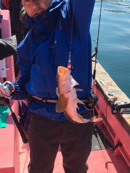 第八平成丸 釣果