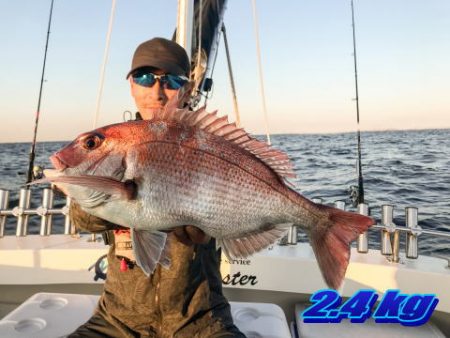 オーシャンマスター 釣果