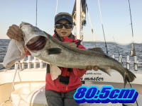 オーシャンマスター 釣果