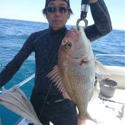 マタウマリンサービス 釣果