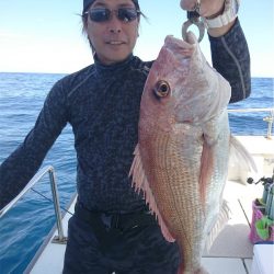 マタウマリンサービス 釣果