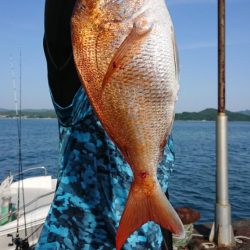 オーフリー 釣果