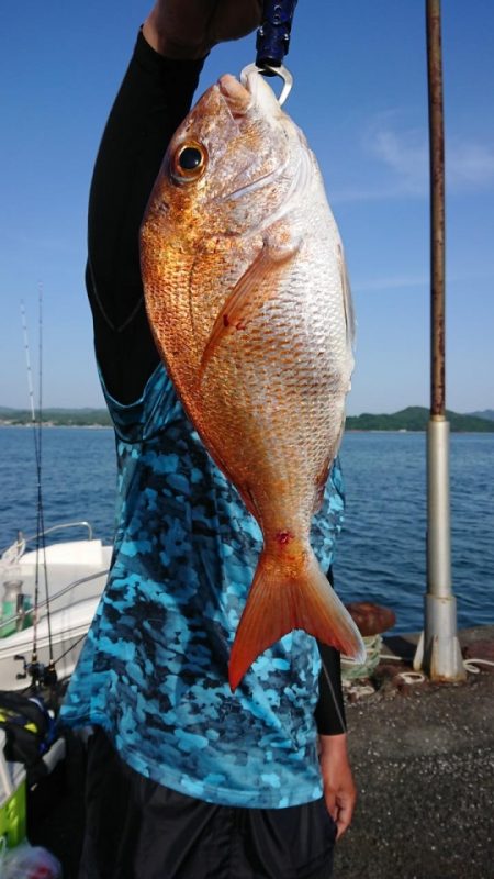 オーフリー 釣果