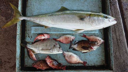 明神釣船 釣果