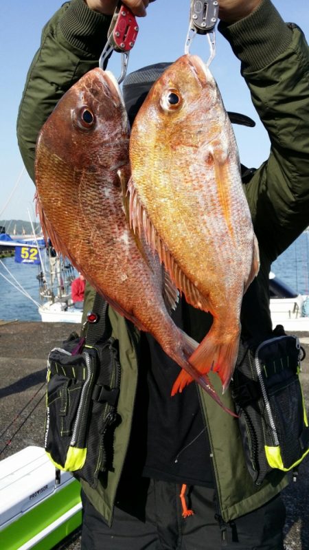 オーフリー 釣果