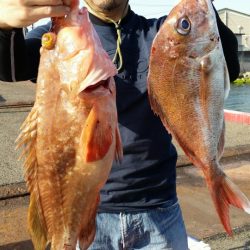 オーフリー 釣果