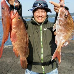 オーフリー 釣果