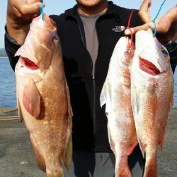 オーフリー 釣果